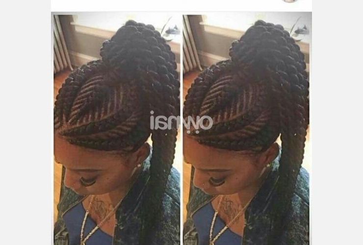 Carrot Hairstyle With Puff For Sale | Ownai For Most Up To Date Zimbabwean Braided Hairstyles (Photo 10 of 15)