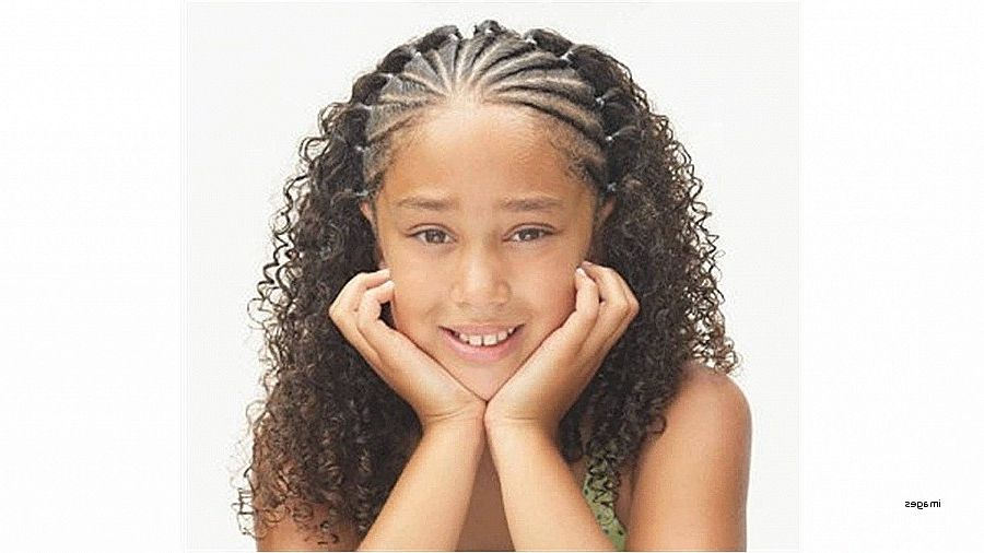 Curly Hairstyles. Lovely Braid Hairstyles For Short Curly Hair Inside Most Recent Braided Hairstyles On Curly Hair (Photo 11 of 15)