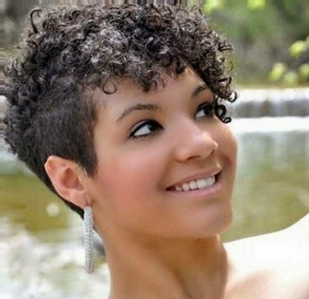 Cute Hairstyles For Natural Curly Hair Black – Hairstyles Model Ideas With Recent Short Black Hairstyles For Curly Hair (View 9 of 15)