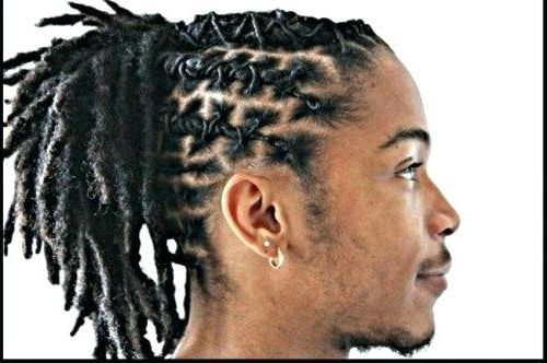 Dreadlock Braids Hairstyles Dreadlock Hairstyles For Men Braided In Most Up To Date Braided Dreadlock Hairstyles For Women (View 4 of 15)