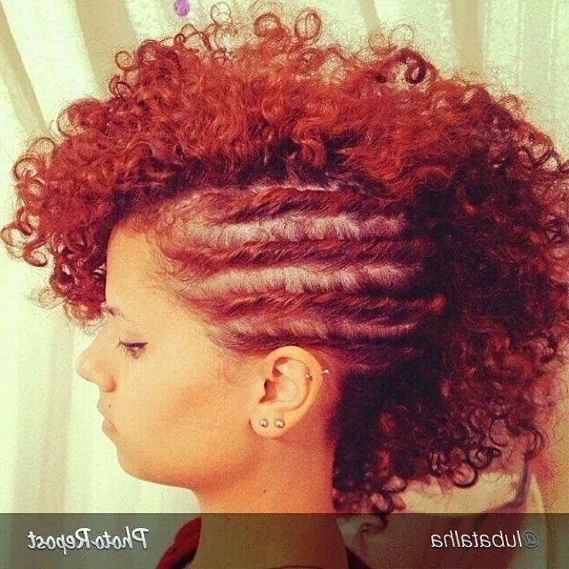 Flat Twist W/curly Mohawk..color Is Fab!!!!!! | Protective Within Most Recent Curly Mohawk With Flat Twisted Sides (Photo 1 of 15)