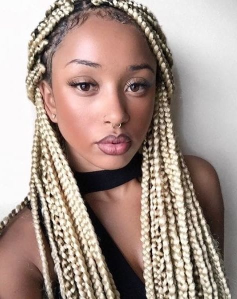 Inspiring Ways To Style Your Thick Box Braids Regarding Most Recent Braided Hairstyles With Jewelry (Photo 14 of 15)