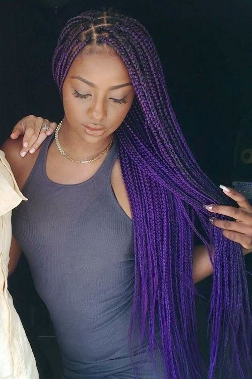 Justine Skye Straight Black Mini Braids, Uneven Color Hairstyle Regarding Most Current Purple Highlights In Black Braids (View 6 of 15)