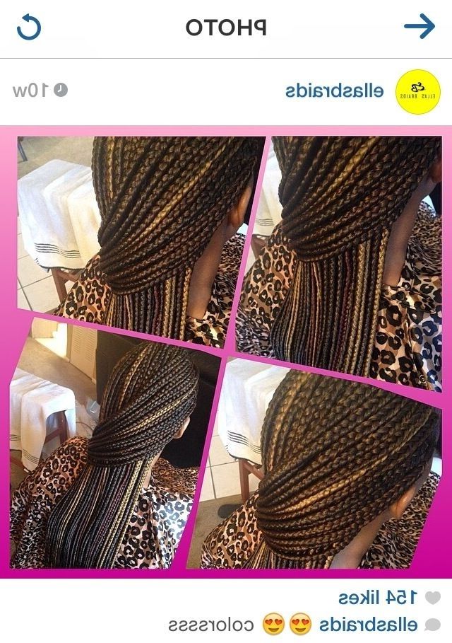 Love This Hair Color Combination For Box Braids Or Senegalese Twists Regarding Current Braided Hairstyles With Color (View 8 of 15)