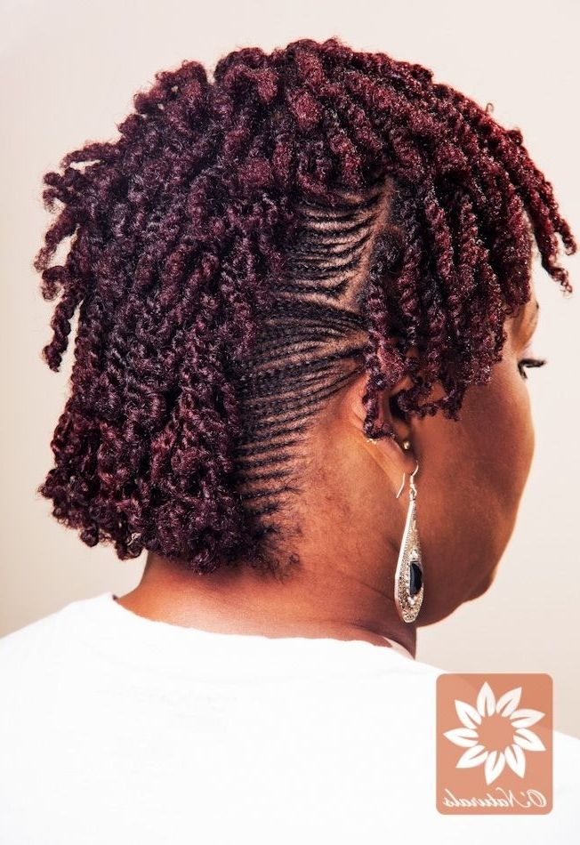 Micro Cornrows And Twists. Natural Hairstyles Natural Hair Coloured Intended For Most Current Micro Cornrows Hairstyles (Photo 10 of 15)