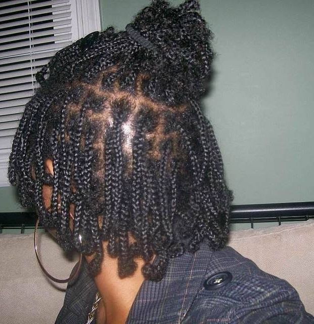 Pic Request  Box Braids And Cornrows Without Extensions | Long Hair Within Most Current Cornrows Hairstyles Without Extensions (View 13 of 15)
