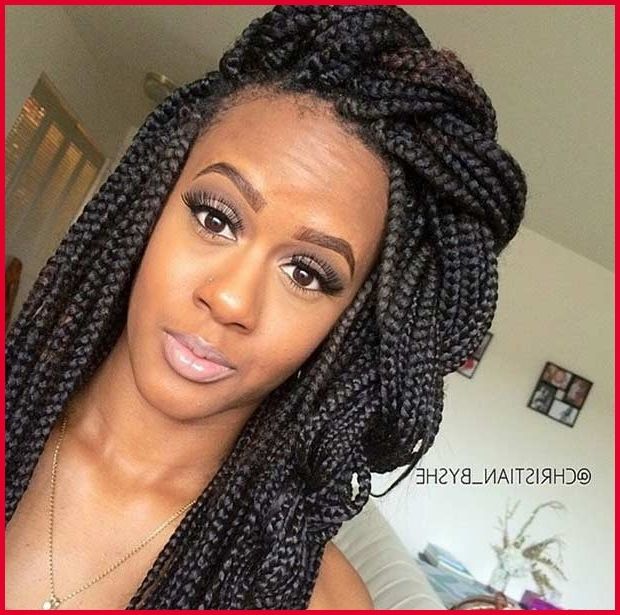 Poetic Justice Braids Hairstyles 46724 35 Gorgeous Poetic Justice In Latest Poetic Justice Braids Hairstyles (View 14 of 15)