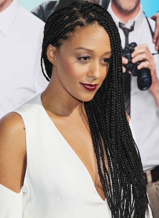 Protective Hairstyles For Natural Hair Regarding Most Current Long Braids For Black Hair (Photo 13 of 15)