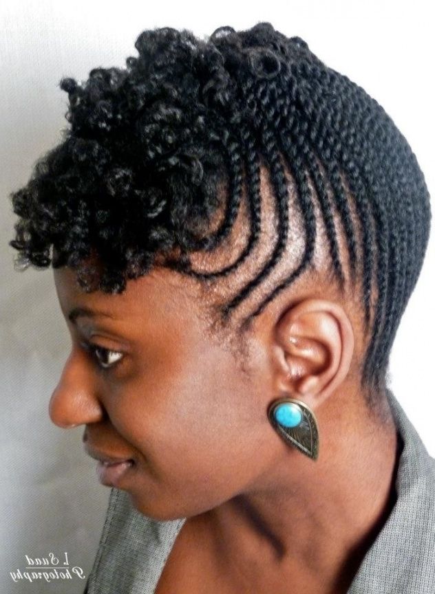 Protective Styles For A Frizz Free Summer! | Short Natural Hair With For Latest Braided Hairstyles For Short Natural Hair (View 3 of 15)