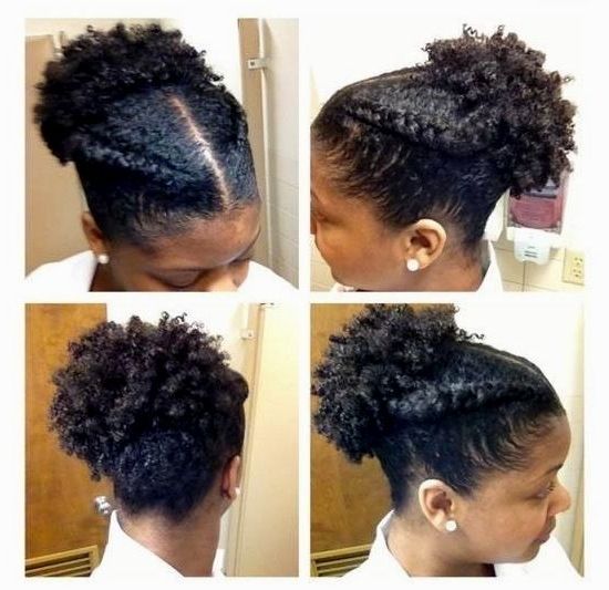 Quick Braiding Styles For Natural Hair – The Newest Hairstyles For Latest Quick Braided Hairstyles For Natural Hair (View 9 of 15)