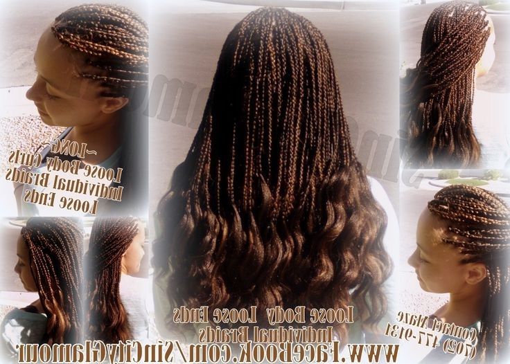 The 10 Best Las Vegas Individual Braids Singles Micros Box Braids For Latest Classic Fulani Braids With Loose Cascading Plaits (View 12 of 15)