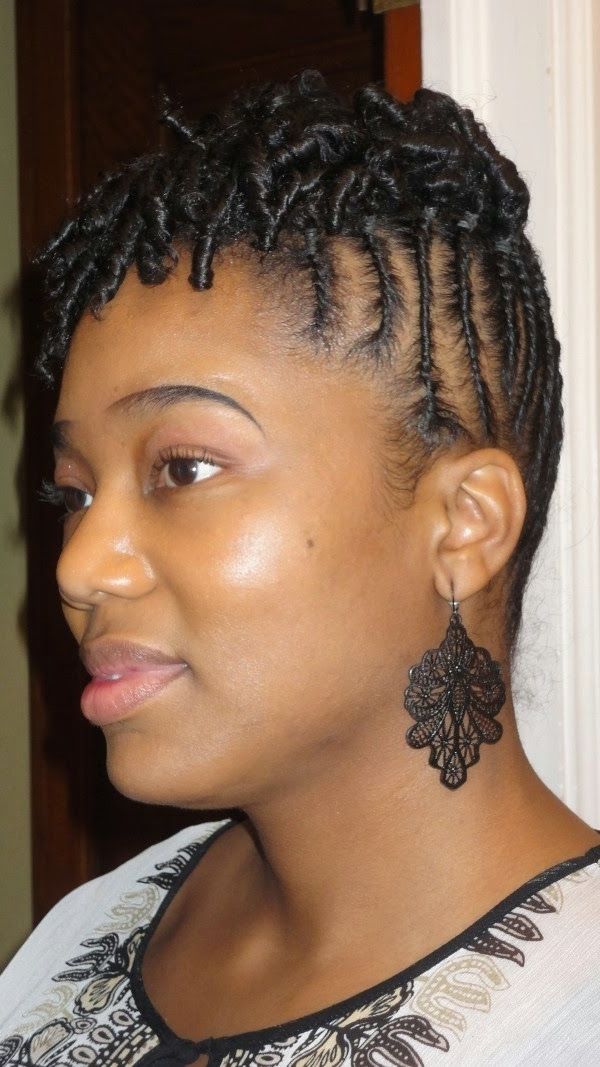 Top 39 Easy Braided Natural Hairstyles | Hairstyles Gallery With Regard To Most Recently Braided Natural Hairstyles For Short Hair (View 12 of 15)