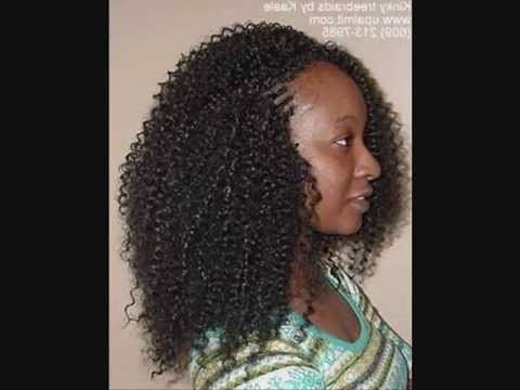 Tree Braids  Kinky Curly Treebraids Cornrows  Kinky And Fabulous In Most Recent Cornrows And Curls Hairstyles (View 6 of 15)