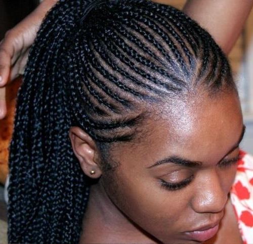 10 Charming Ghana Braids Ponytail – Head Turning Ghana Braids With In Cornrows And Senegalese Twists Ponytail Hairstyles (View 17 of 25)