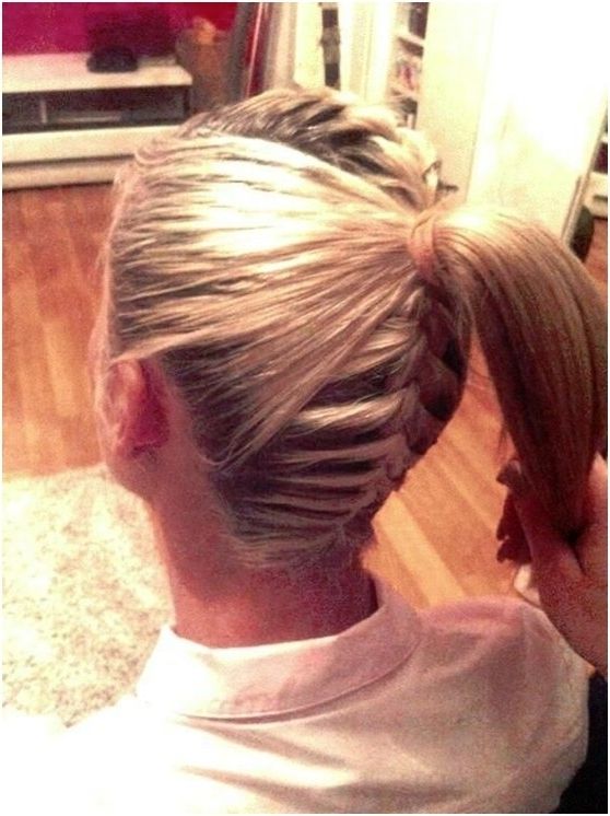 10 French Braid Hairstyles For Long Hair – Popular Haircuts Intended For Sky High Pompadour Braid Pony Hairstyles (View 22 of 25)