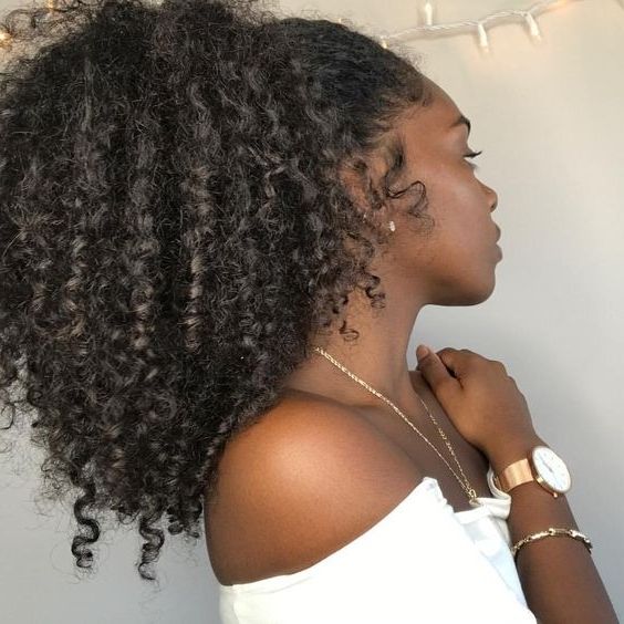10+ Gorgeous Natural Hair Ponytail Styles To Try! – The Blessed Queens Regarding Pony Hairstyles For Natural Hair (Photo 9 of 25)