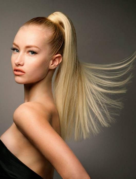 100 Ponytail Hairstyles For All Hair Lengths – Beautyfrizz With High Sleek Ponytail Hairstyles (View 4 of 25)