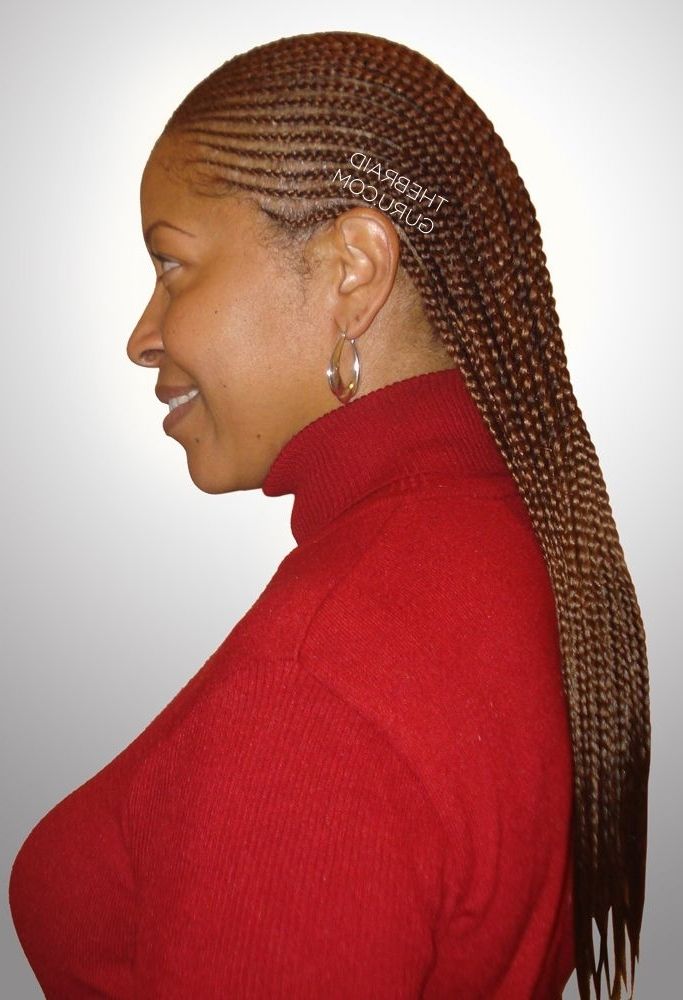2 Layer Feed In Cornrows – Right Side View – Braidsthebraidguru Intended For A Layered Array Of Braids Hairstyles (Photo 2 of 25)