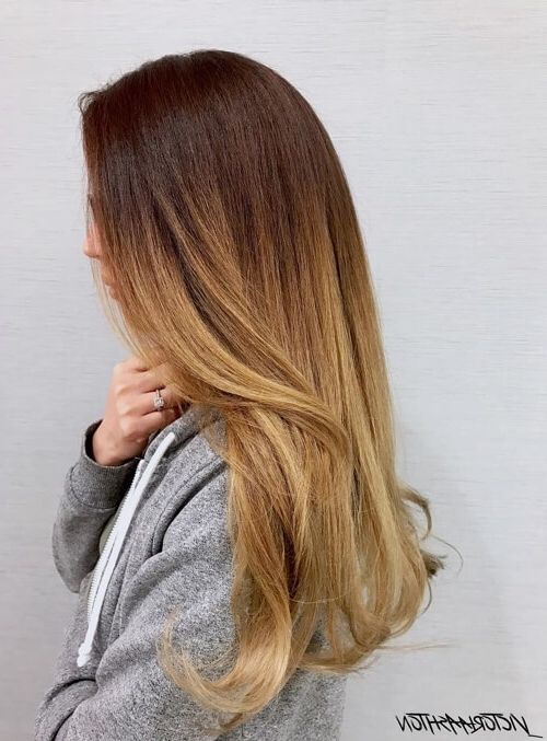 38 Hottest Ombré Hair Color Ideas Of 2018 Throughout Subtle Brown Blonde Ombre Hairstyles (View 4 of 25)
