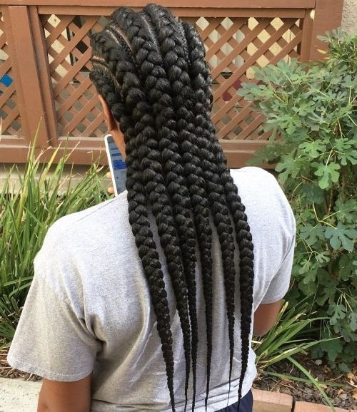Big Cornrows Hairstyles For Afro American Women | New Natural Hairstyles Within Chunky Black Ghana Braids Ponytail Hairstyles (View 16 of 25)