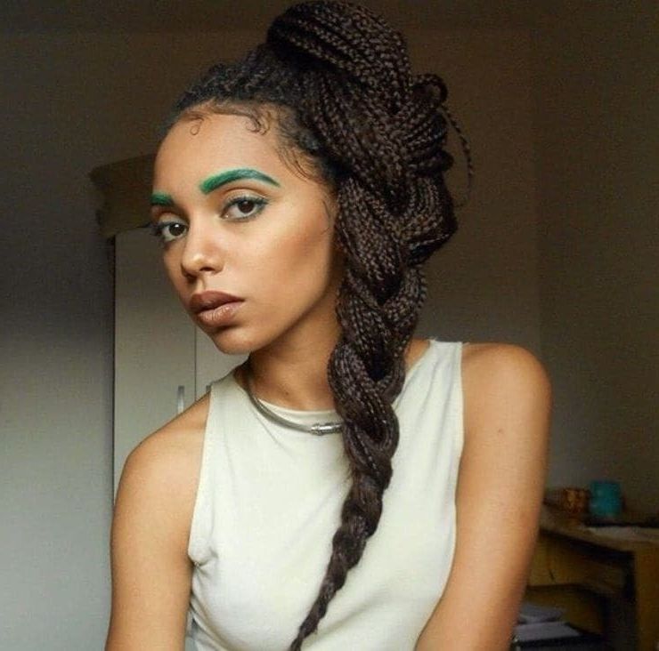 Box Braids Ponytail: 7 Stylish Ways To Rock The Trend Right Now Within Box Braids Pony Hairstyles (View 13 of 25)
