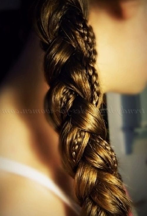 Braided Hairstyles – Simple Ponytail Braid With Micro Braid Accents Throughout Pony Hairstyles With Accent Braids (View 12 of 25)