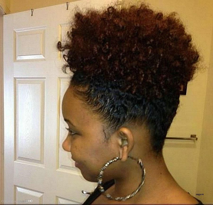 Curly Hairstyles. Elegant Curly Drawstring Ponytail Hairstyles Intended For Curly Blonde Afro Puff Ponytail Hairstyles (Photo 20 of 25)