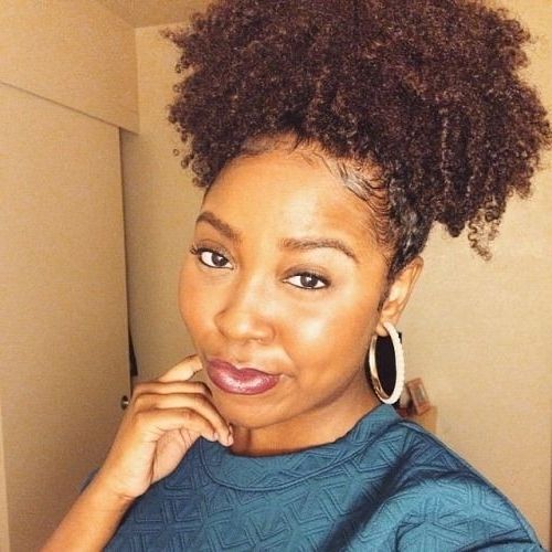 Human Hair Ponytail Hair Extension Clip In Natural Afro Puff Kinky With Embellished Drawstring Ponytail Hairstyles (View 12 of 25)