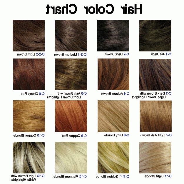 Light Brown Hair Color Chart Fresh Dark Brown Hair With Platinum Intended For Light Golden Blonde With Platinum Highlights (View 21 of 25)