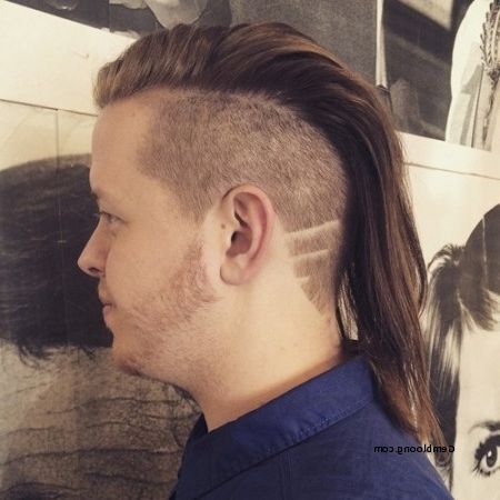 Long Hairstyles For Men Ponytail With Fade Unique 15 Formidable Faux Pertaining To Fauxhawk Ponytail Hairstyles (View 23 of 25)