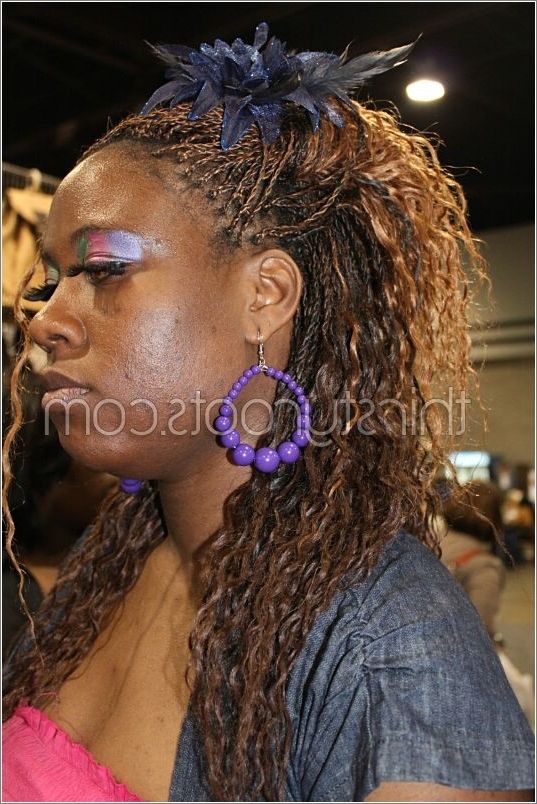Micro Braids Wet And Wavy Within Wavy And Braided Hairstyles (View 20 of 25)