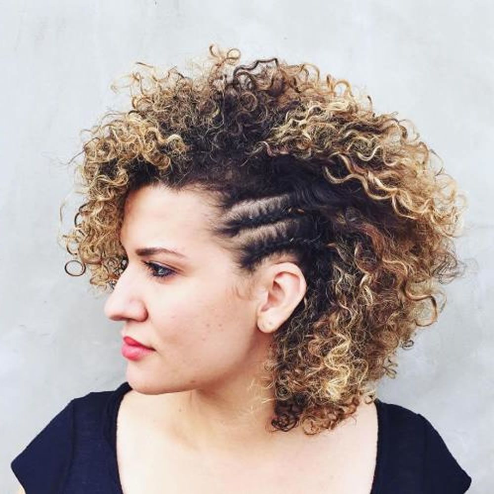 2018 Curly Short Haircuts – Short And Cuts Hairstyles In Short Hairstyles For Women Curly (Photo 8 of 25)
