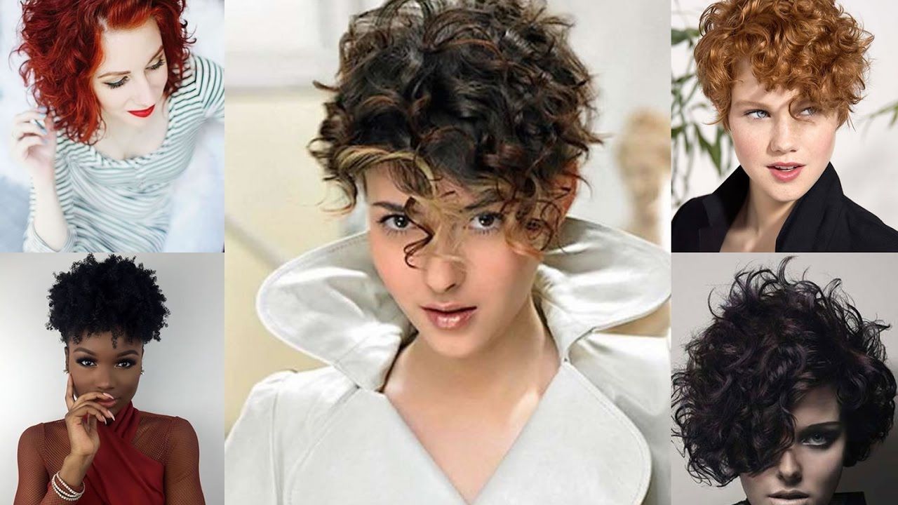 Featured Photo of  Best 25+ of Short Bob for Curly Hairstyles