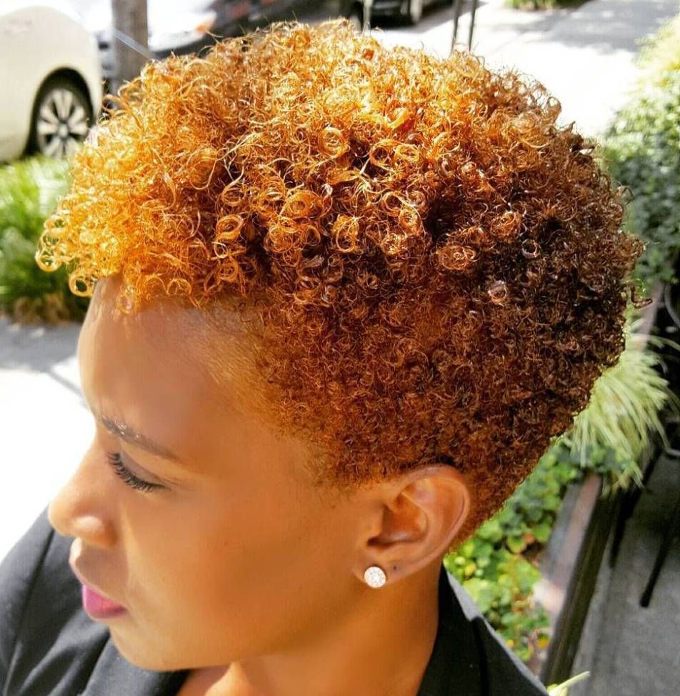 40 Cute Tapered Natural Hairstyles For Afro Hair In 2018 | Natural Throughout Curly Golden Brown Pixie Hairstyles (View 15 of 25)