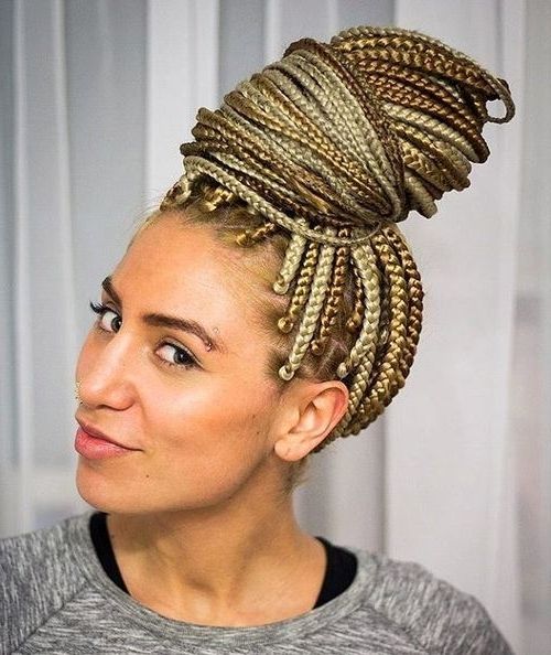 50 Exquisite Box Braids Hairstyles That Really Impress Within Trendy Two Tone Braided Ponytails (View 10 of 25)