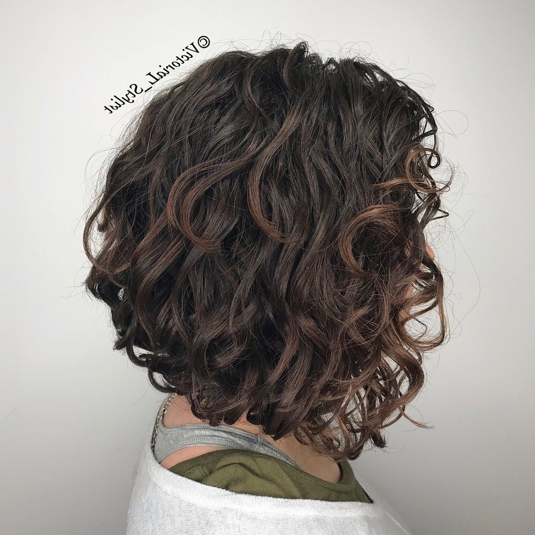 55 Different Versions Of Curly Bob Hairstyle | Fun Hair Styles Inside Scrunched Curly Brunette Bob Hairstyles (Photo 7 of 25)