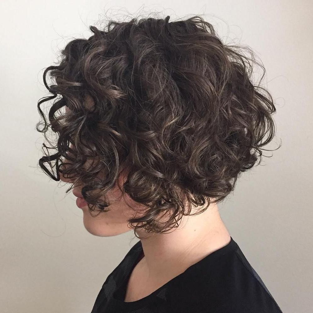 55 Different Versions Of Curly Bob Hairstyle | Hair | Pinterest Within Scrunched Curly Brunette Bob Hairstyles (Photo 1 of 25)