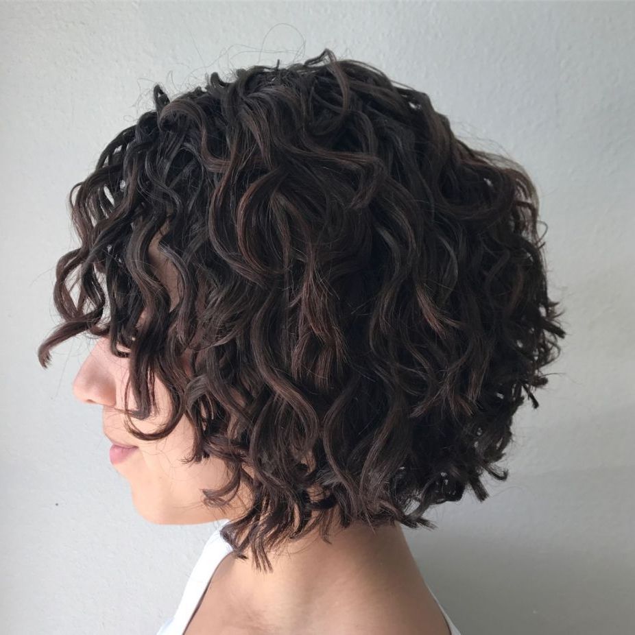 55 Different Versions Of Curly Bob Hairstyle In 2018 | Hair Inside Scrunched Curly Brunette Bob Hairstyles (Photo 2 of 25)