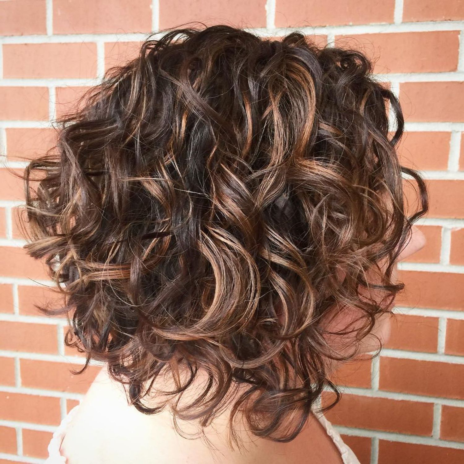 55 Different Versions Of Curly Bob Hairstyle In 2018 | Hair Regarding Scrunched Curly Brunette Bob Hairstyles (Photo 5 of 25)