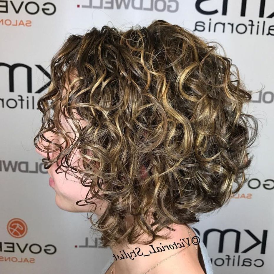 55 Different Versions Of Curly Bob Hairstyle In 2018 | My Favourite With Golden Brown Thick Curly Bob Hairstyles (Photo 4 of 25)