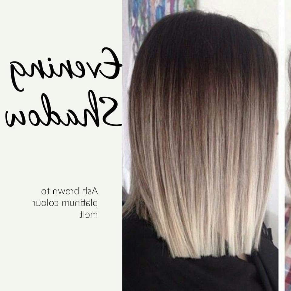 Ash Brown To Platinum Colour Melt … | Hair | Pinte… Pertaining To Nape Length Wavy Ash Brown Bob Hairstyles (View 15 of 25)