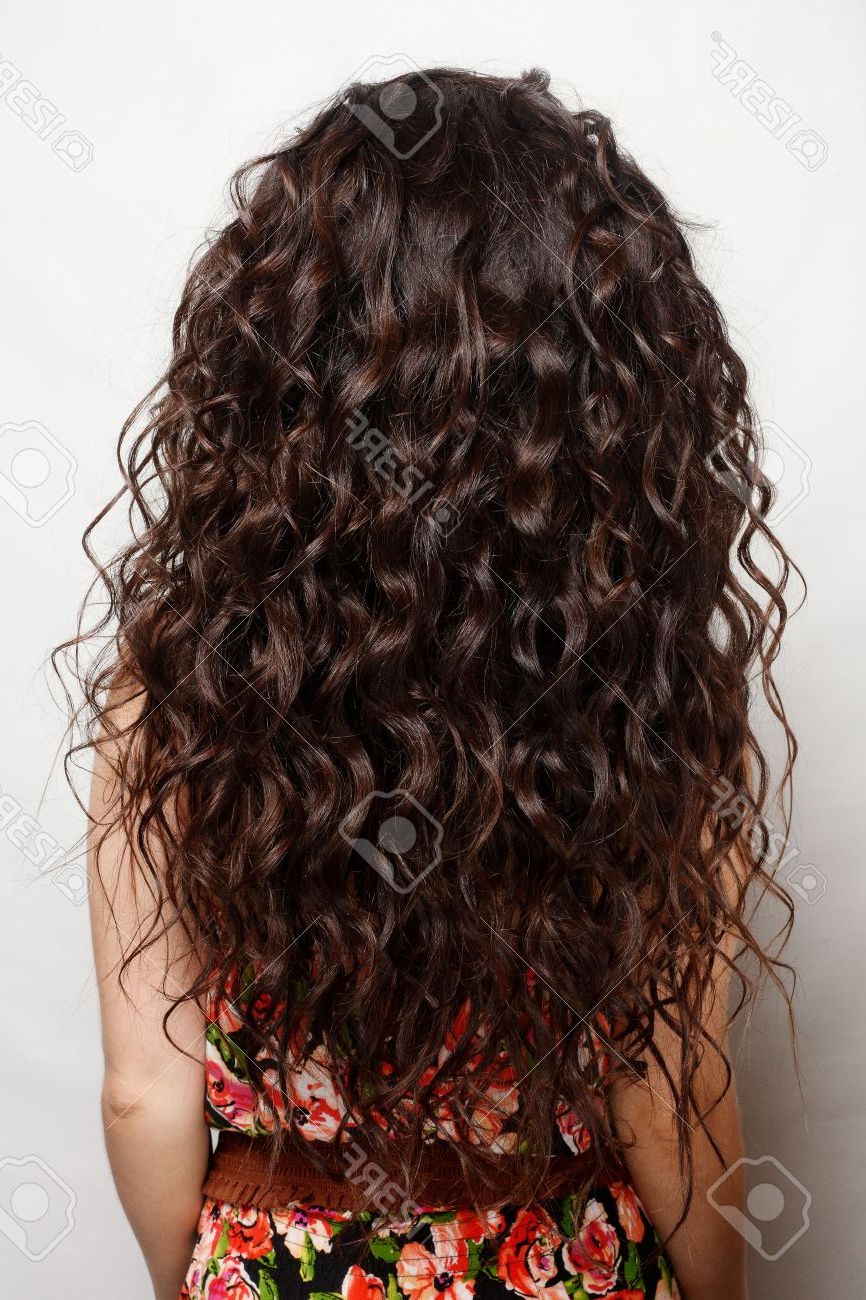 Back Of The Woman With Long Brown Curly Hair With Healthy Shine Inside Curly Hairstyles With Shine (Photo 11 of 25)