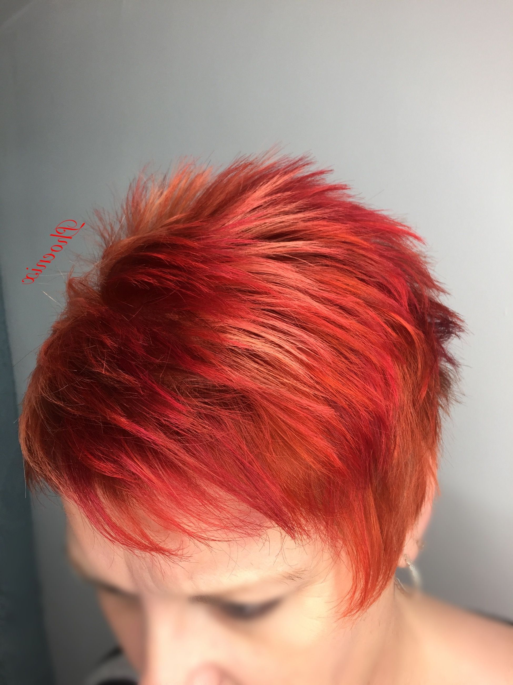 Bright Hair Copper Hair Red Hair Short Hair Under Cut Vivids In Bright Red Short Hairstyles (Photo 11 of 25)