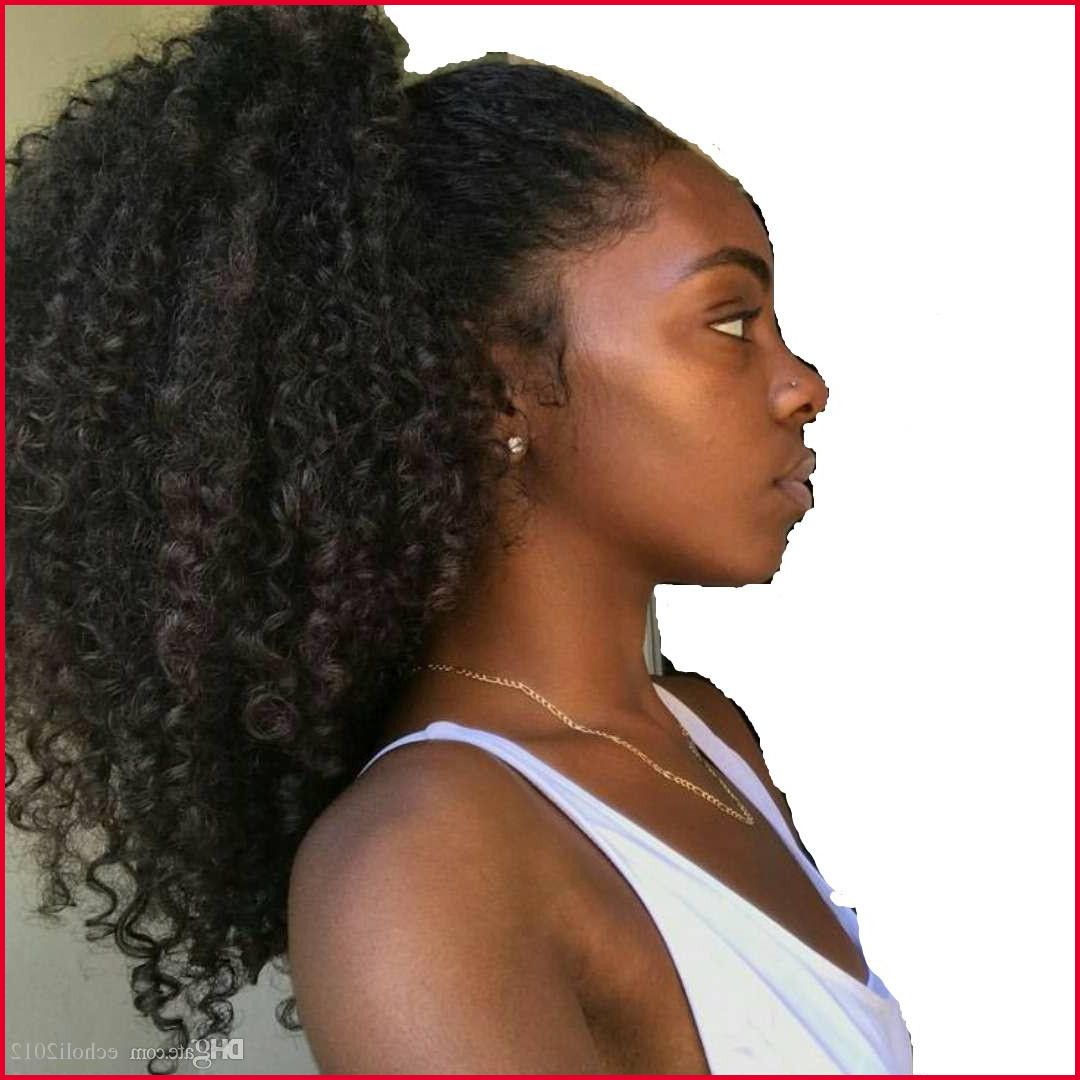 Drawstring Ponytail Hairstyles For Black Hair 27740 Afro Kinky Curly For Curly Q Haircuts (View 24 of 25)