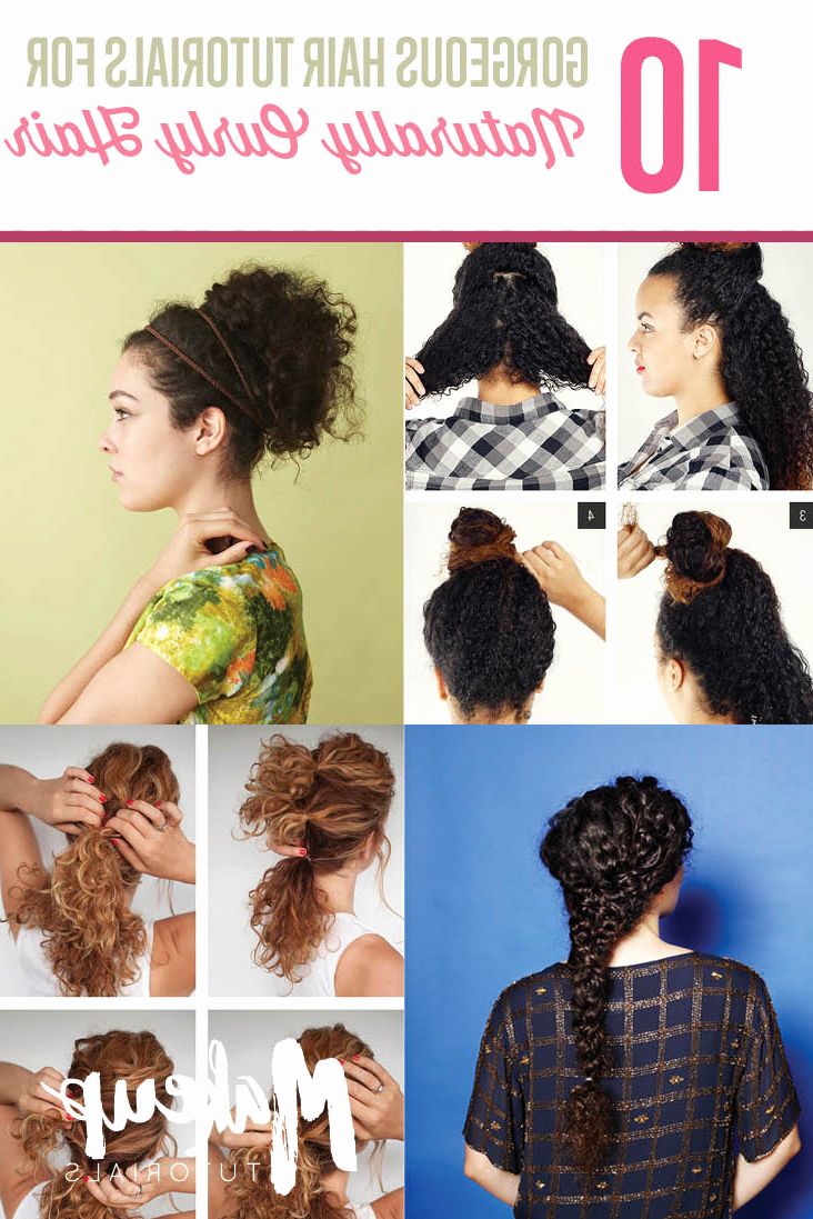 Easy Curly Hairstyles 10 Easy Hairstyle Tutorials For Naturally Throughout Naturally Curly Hairstyles (Photo 23 of 25)