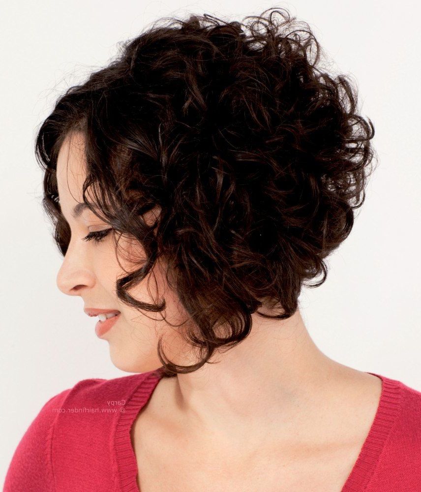 Hairstyles, Fullness For Curly Hair With An A Line Cut, Stacked Bob Pertaining To Stacked Curly Bob Hairstyles (Photo 1 of 25)