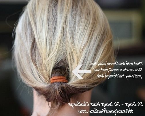 Inverted Pony Tail Styles, Ponytail Styles For Topsy Tail Low Ponytails (View 13 of 25)