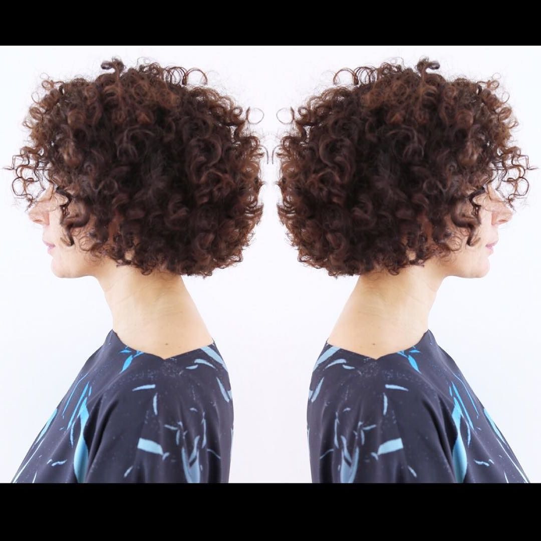 Protect Your C U R L Y – Q With #dualstylersliss From #lorealpro Within Curly Q Haircuts (View 6 of 25)