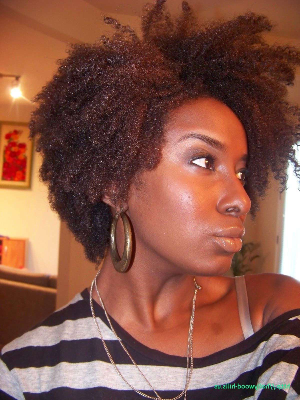 Short Hairstyles For Black Women With Natural Hair Best Of 13 In Black Women Natural Short Hairstyles (Photo 25 of 25)