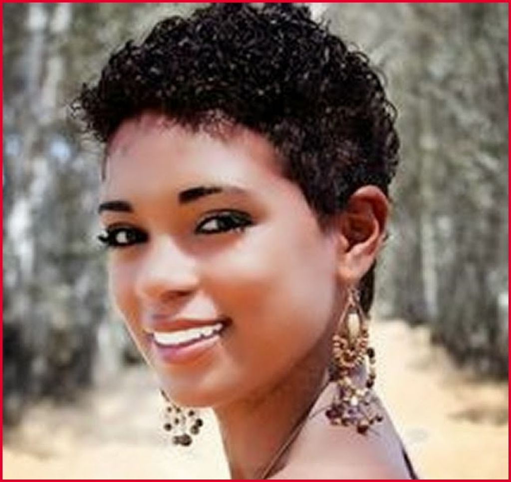Short Hairstyles For Little Black Girls 274070 Braids For Short Hair Intended For Black Little Girl Short Hairstyles (View 22 of 25)
